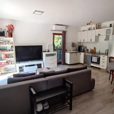 Tatil Evi Fuege Vendeghaz Sajkod